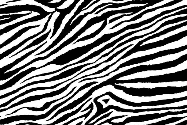 istock Full seamless wallpaper for zebra and tiger stripes animal skin pattern. Black and white design for textile fabric printing. Fashionable and home design fit. 1214124540