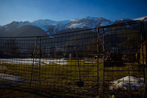 A wooden fence protecting a field on a sunny winter day
