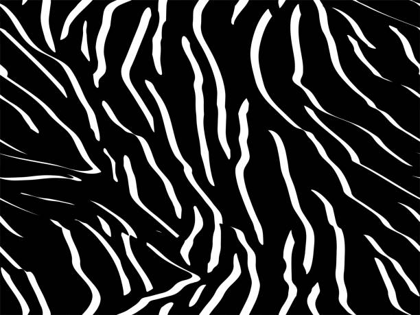 istock Full seamless wallpaper for zebra and tiger stripes animal skin pattern. Black and white design for textile fabric printing. Fashionable and home design fit. 1214125937
