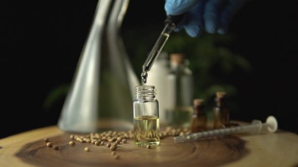 macro close up of droplet pipette dosing biological and ecological oil of the hemp plant.  pharmaceutical herbal cbd oil in the small jar on the wood table full of hemp seeds. organic pharma concept. - equimpent imagens e fotografias de stock