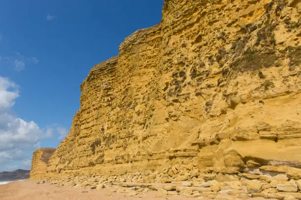 Sandstone cliffs English Jurassic coast England UK near West Bay golden colour