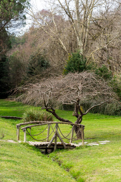 istock Handmade wooden arched old small bridge on grass in botanical garden, Turkey 1214127601