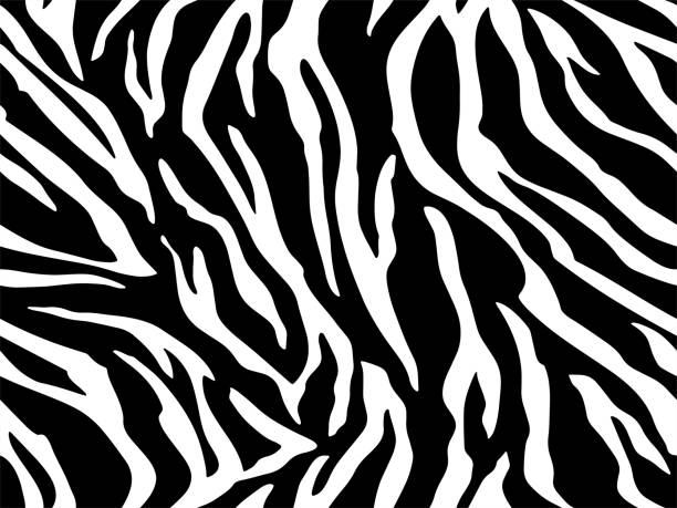 istock Full seamless wallpaper for zebra and tiger stripes animal skin pattern. Black and white design for textile fabric printing. Fashionable and home design fit. 1214132206