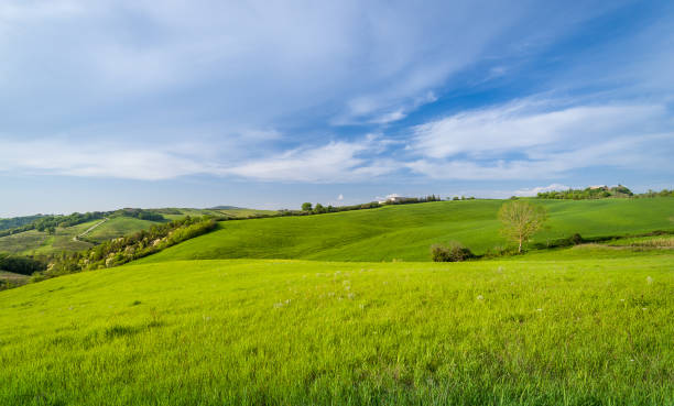 istock Clean green grass fields of Tuscany 1214134232