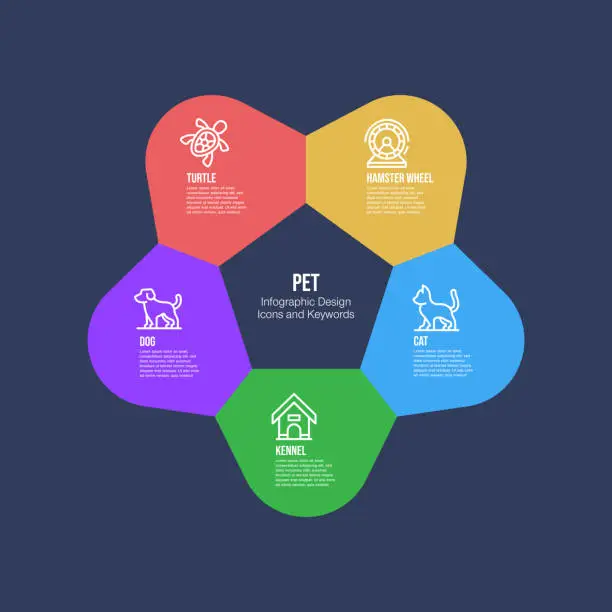 Vector illustration of Infographic design template with pet keywords and icons