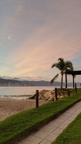 istock Mexican sunrise under the plamier (photo2) 1214138920