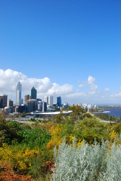istock Beautiful Perth Skyline from Kings Park, Australia. 1214140231