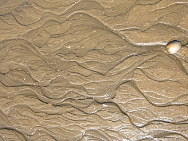 istock Drawings made by water in the sand on the beach 1214140652