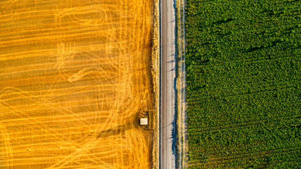 istock Aerial view agriculture 1214141482