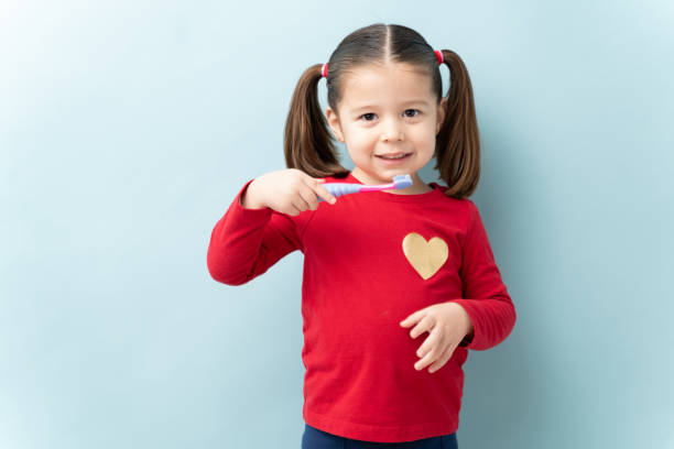 Beautiful girl with a toothbrush Portrait of a gorgeous little girl with ponytails holding a toothbrush and smiling in a studio brushing teeth stock pictures, royalty-free photos & images