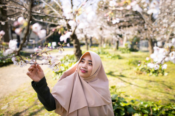 istock Young Muslim woman looking at cherry blossom 1214145408