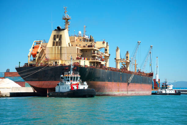 istock Cargo ship and tugboat in the harbor 1214148041