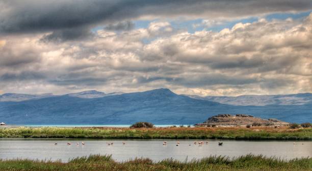 istock Laguna Nimez Reserve Landscape 1214148977