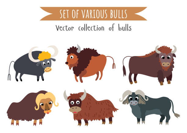 Naughty American Buffalo Illustrations, Royalty-Free Vector Graphics & Clip  Art - iStock