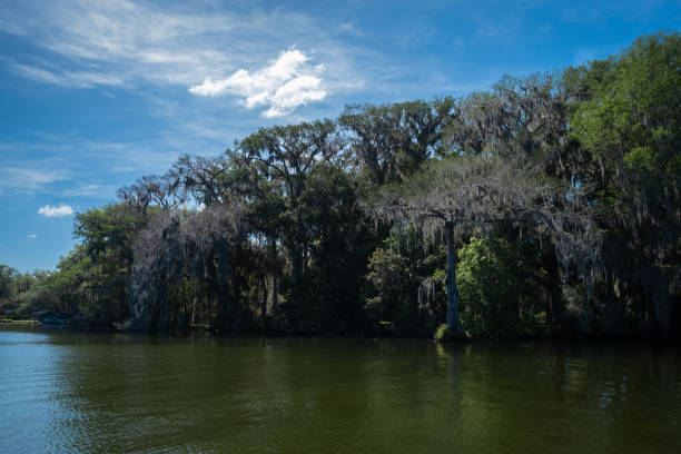 istock Lake Shore And Blue Sky 1214151581