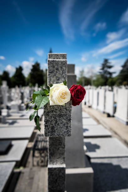 istock Flower on memorial stone close up- Covid-19 1214151678