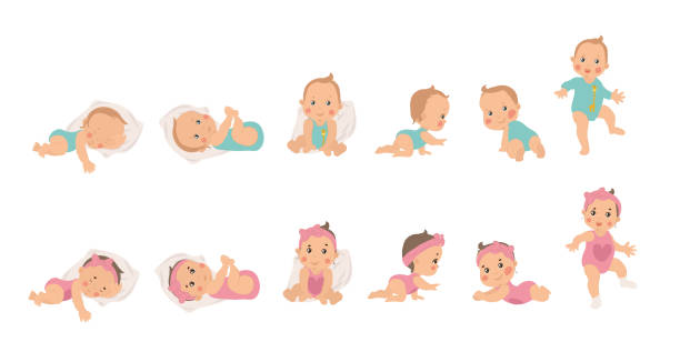 Set of young baby health and development icons Set of young baby health and development icons for a boy and girl from newborn to sitting, crawling and finally waking, vector illustrations isolated on white girls illustrations stock illustrations