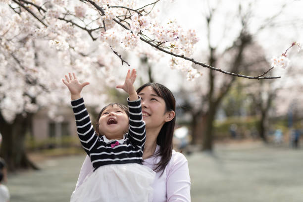 istock Mother showing cherry blossom to her daughter 1214171059