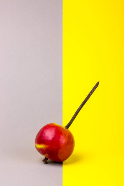 istock Still life with apple and nail 