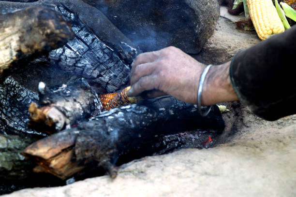 istock Indian Corn (bhutta) being cooked on burning wood 1214175097
