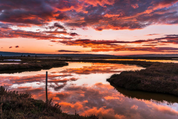 sunset views of the tidal marshes of alviso with colorful clouds reflected on the calm water surface, don edwards san francisco bay national wildlife refuge, san jose, california - swamp moody sky marsh standing water imagens e fotografias de stock