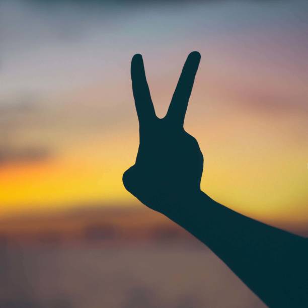 istock sugn hand at the sea sunset orange background 1214179274