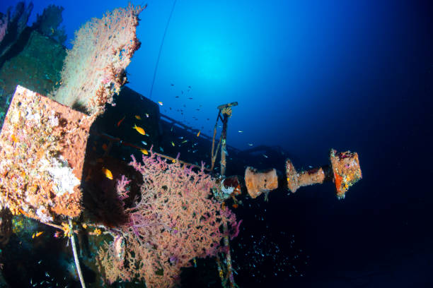 istock A large underwater shipwreck in a clear, tropical ocean (Similan Islands) 1214180924