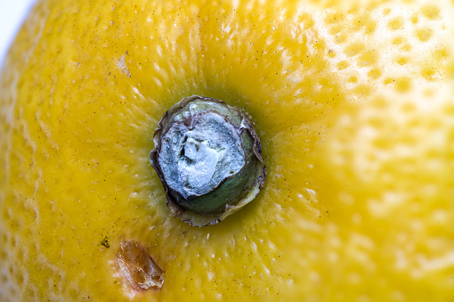 a fruit lemon in close up, made by stacking nine photos