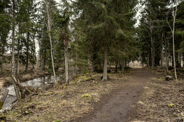 istock dirty mud road in winter with water on the road surface 1214188000