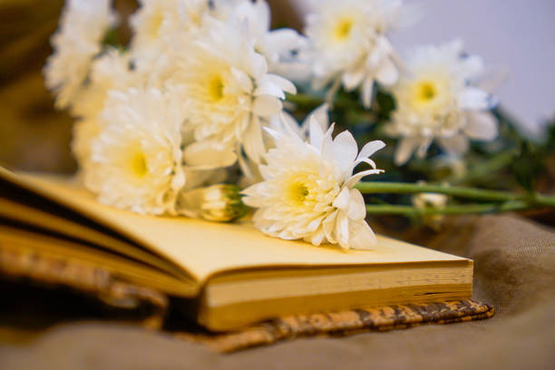 istock White chrysanthemums flower over the book 1214189670
