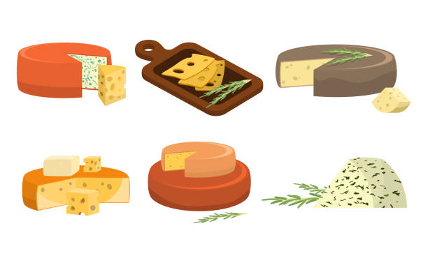 Set of different types of fresh pieces of cheese. Vector illustration in flat cartoon style. Collection set of different types of fresh pieces of cheese.Delicious cheese concept. Isolated icons set illustration on a white background in cartoon style. cheese stock illustrations