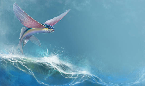 illustrazioni stock, clip art, cartoni animati e icone di tendenza di pesci volanti che saltano e volano. - pesce volante immagine