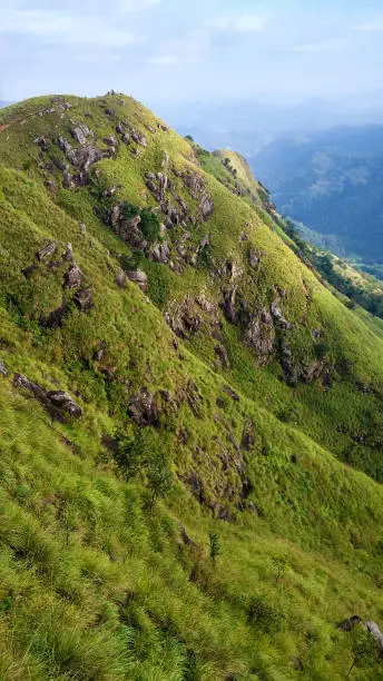 Photo of Mountain landscape, green slopes. Beauty of mountains