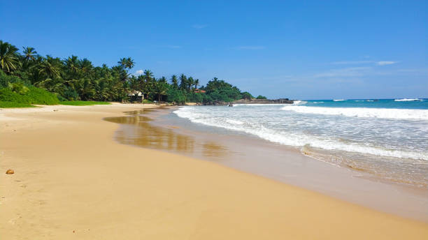 istock Sandy beach with palm trees by the ocean 1214201238