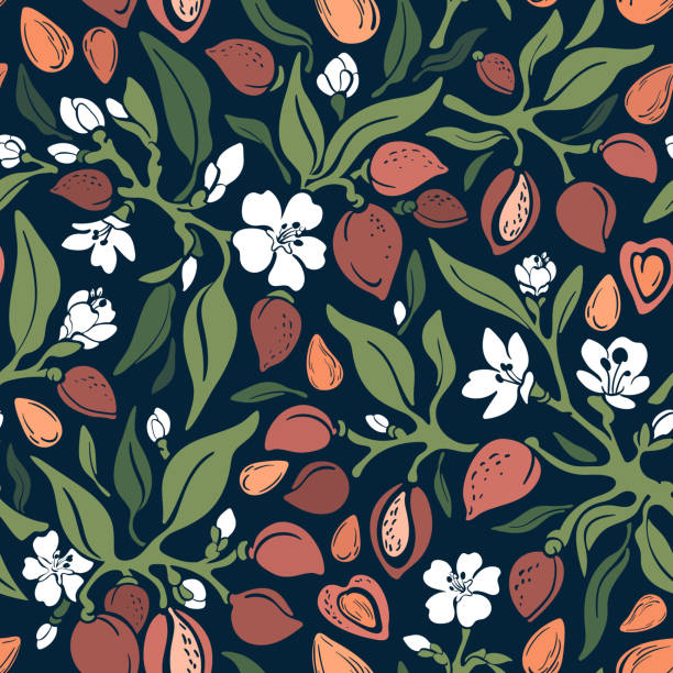 Almond seamless pattern. Vector floral color print Almond retro seamless pattern. Vector green tree, wild branch, nut, leaf, white summer flower in bloom. Art floral fashion print, vinrage cute illustration on black background. Organic healthy food almond tree stock illustrations