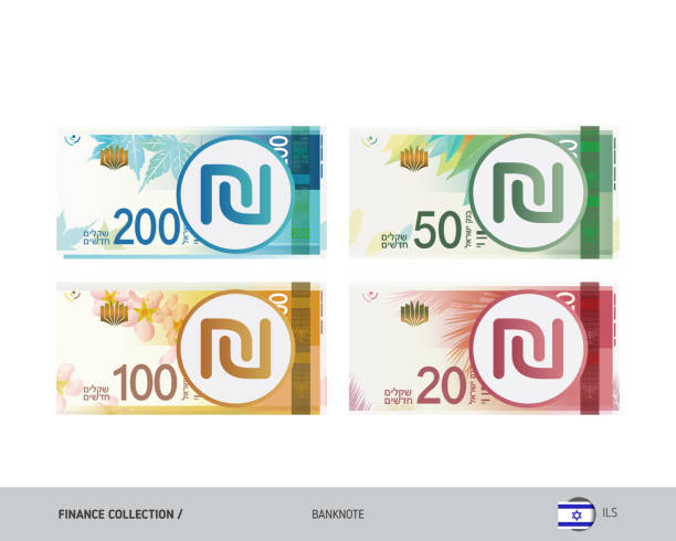 Israeli New Shekel Banknote set. Flat style highly detailed vector illustration. Isolated on white background. Suitable for print materials, web design, mobile app and infographics. Banknotes israeli coin stock illustrations