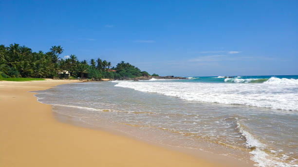 istock Sandy beach with palm trees by the ocean 1214203404