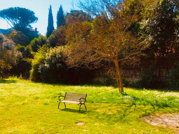 istock Garden with beautiful grass and trees 1214205737