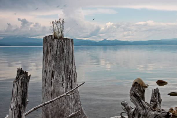 istock Morning pacification on a large freshwater lake in northern Mongolia - Khubsugul. 1214206372