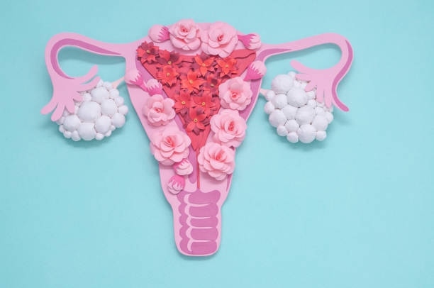 istock Concept polycystic ovary syndrome, PCOS. Copy space, women reproductive system 1214207687