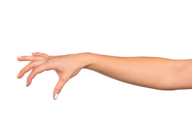 istock female hand isolated on white background showing hand gestures 1214209779