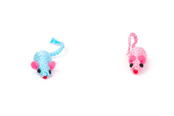 istock blue and pink toy mouse for pet isolated on white background 1214210628