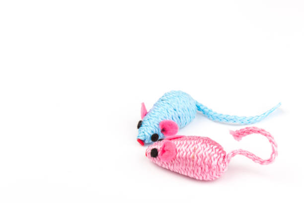 istock blue and pink toy mouse for pet isolated on white background 1214210631