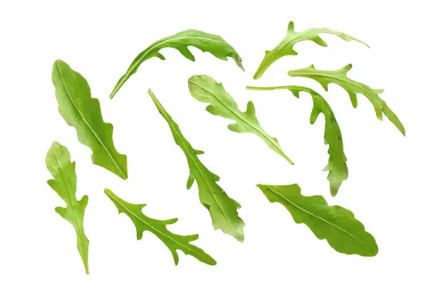 Arugula leaves isolated on white background