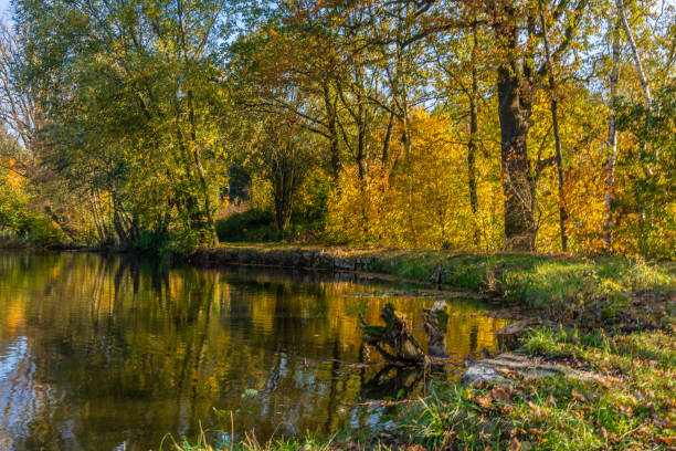 istock Autumn at the lake 1214217116
