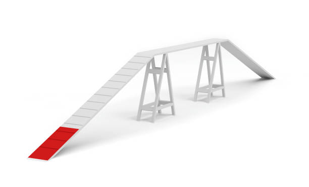 istock dog walk obstacle agility dog training bridge ramp 1214220424