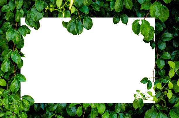 istock Paper Card Mockup on a Green Leaves 1214221910