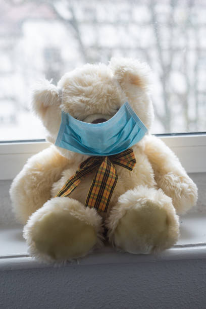 istock plush with medical mask confined behindd the window 1214222451