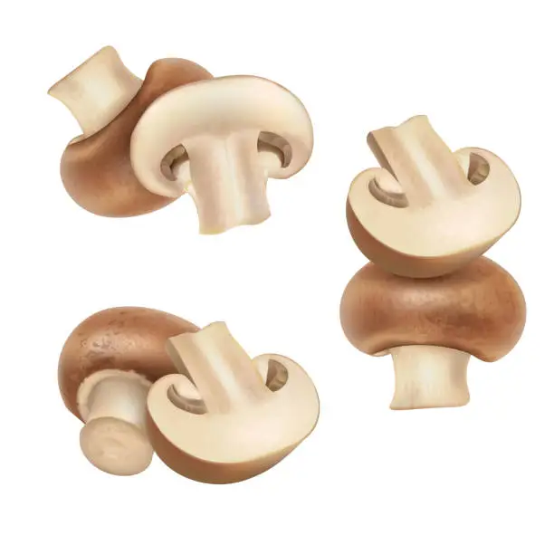 Vector illustration of Group of champignon mushrooms set