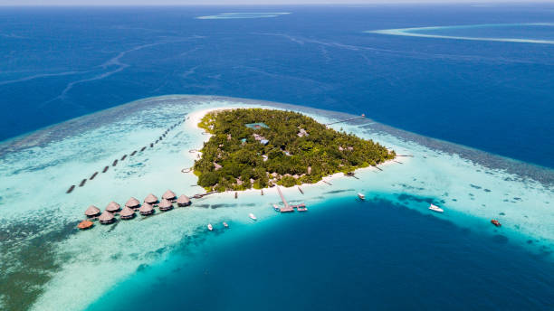 Maldives Dream Island Dream island Maldives - Dream beaches Palm trees and sand fine as icing sugar., crystal clear water in turquoise color... these are the Maldives maldives photos stock pictures, royalty-free photos & images